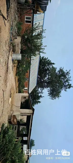 转让承包地，租赁也可以，温泉镇 - 图片 5