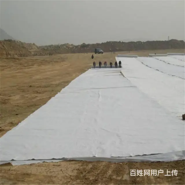 清远复合土工膜,防渗膜500g国标一件也发货 - 图片 1