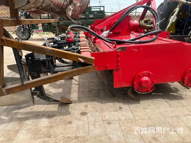【搞定了！】出售24年驴头牛三拢双旋 - 图片 3