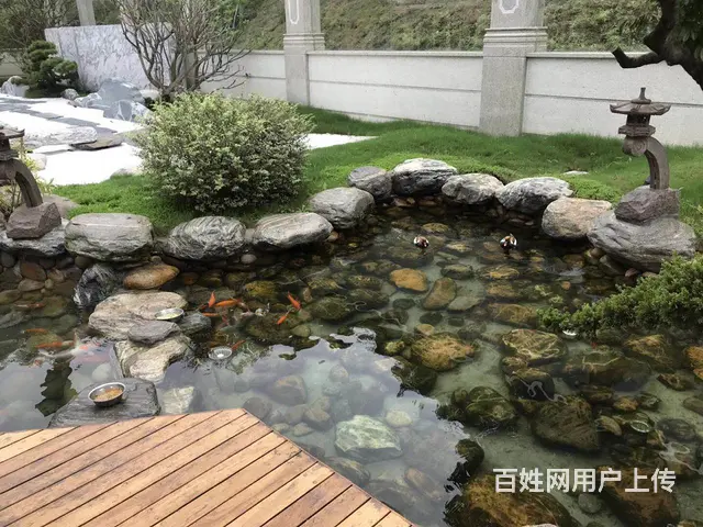 上海锦鲤鱼池净化过滤系统设备安装 - 图片 6