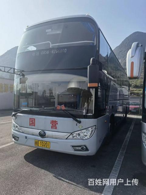多台旅游客运 宇通 大金龙 安凯的图片