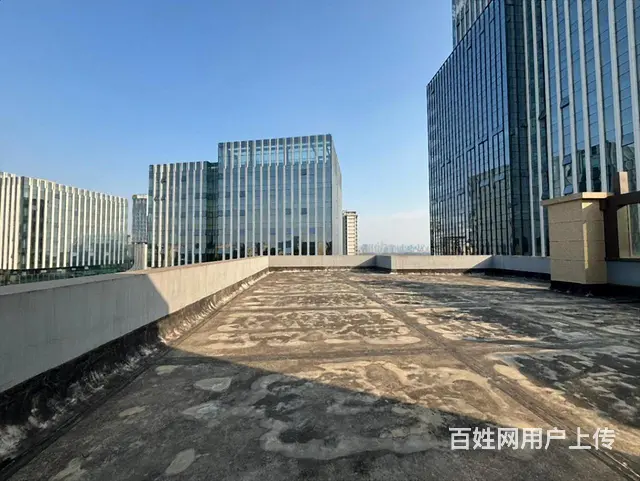 怡心湖 独栋出售 价格好谈 带车库 超小公摊 户型方正 - 图片 6