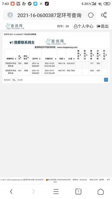 信鸽～幼鸽 - 图片 2