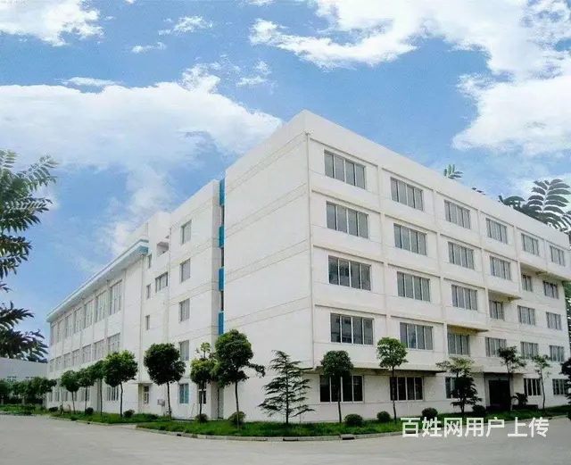 新阳超低价750平方出租 - 图片