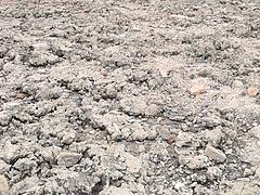 三七市50亩工业土地出售146万一亩
