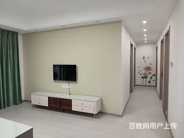 【搞定了！】湖师四小豪装楼王   首次出租 - 图片 4