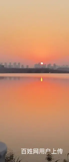 出租办公室和仓库 - 图片