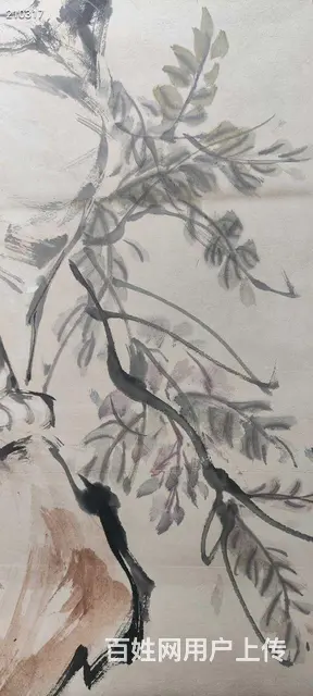 日本回流黄胄猫趣图 原装裱，立轴！精品价高 全长尺 - 图片 5