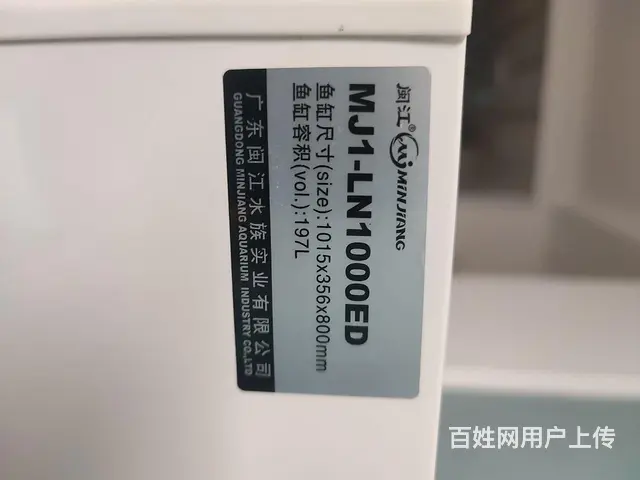 水族箱 - 图片 4