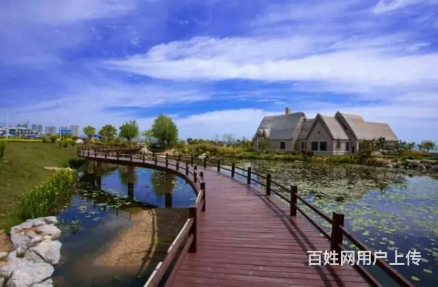 荣成海世界精装一线海景房樱花湖人气楼盘全明户型 - 图片 6