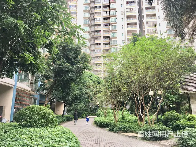 白天鹅花园 2房精装 看不清至强大脑 不过她任你发 - 图片 12