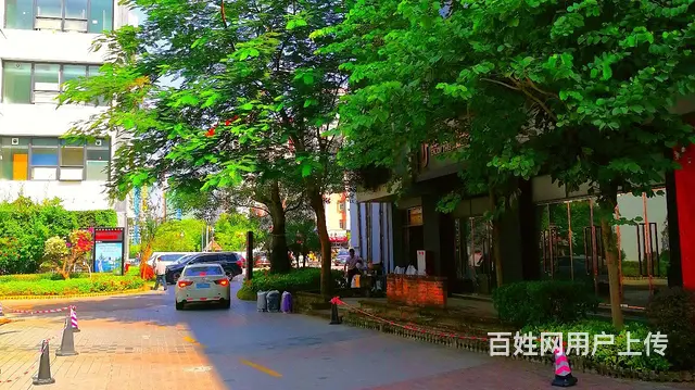 （房东租）南屏小面积写字楼65平交通方便采光好 - 图片 12