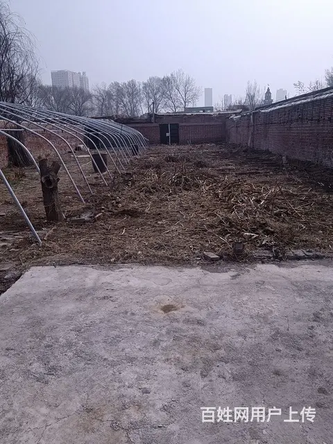 长治市二院附近一个大院 - 图片 1