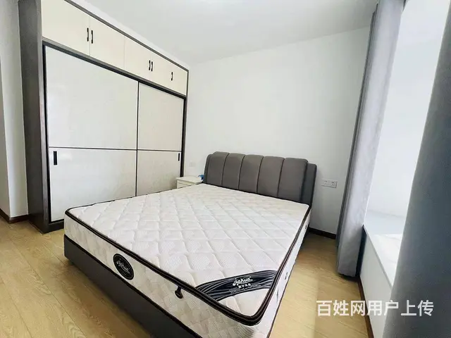 业主自住出租 沙湖港湾 东方玉龙居 金地自在城 盛 - 图片 11