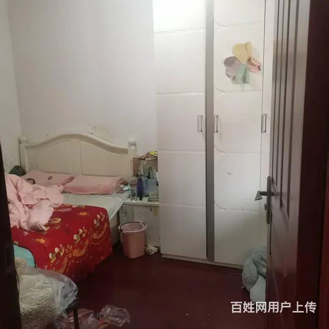 公园南门程北佳园7楼两居室出售 - 图片 8