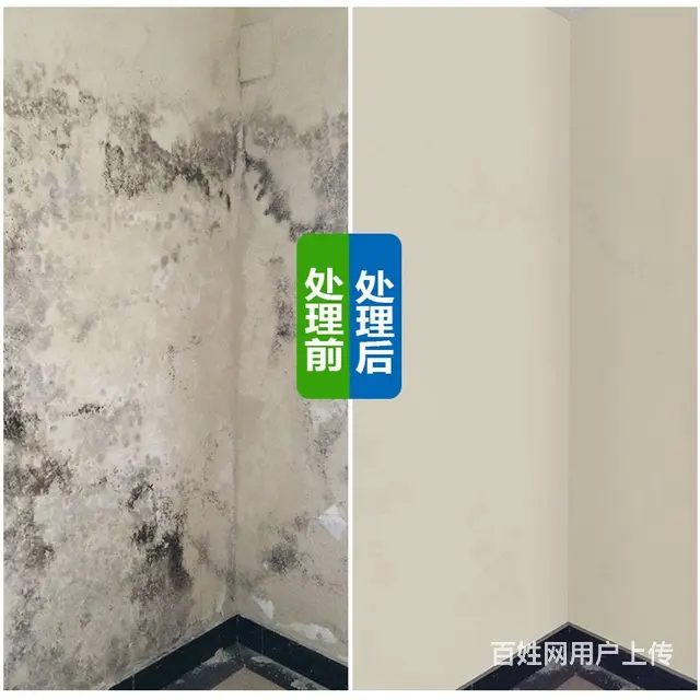 家庭墙面除霉，天花板除霉 - 图片 2