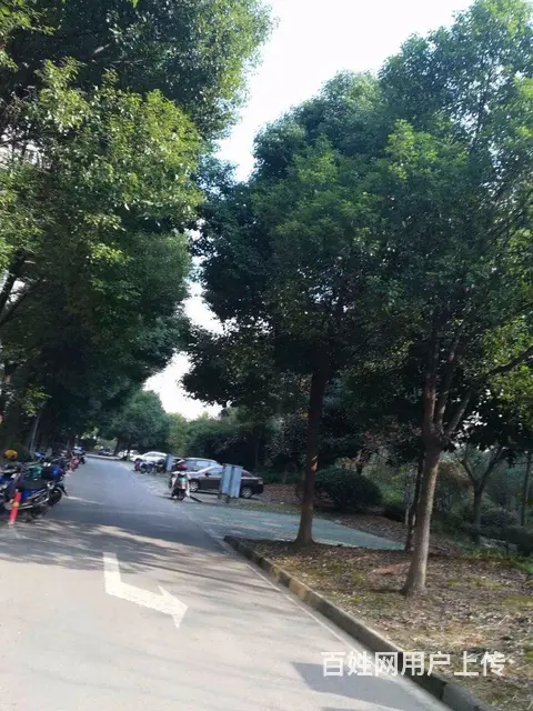 滨江明珠城，非底层，单价低，景观房，房东诚售，随时 - 图片 8