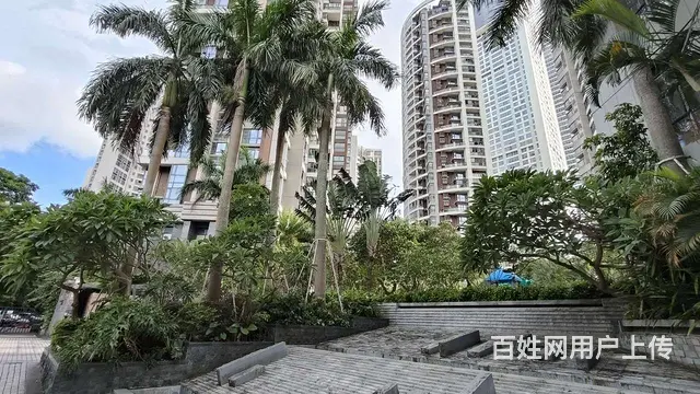 南屏 公园道 高品质好房 精装3房2卫 拎包入住 - 图片 12