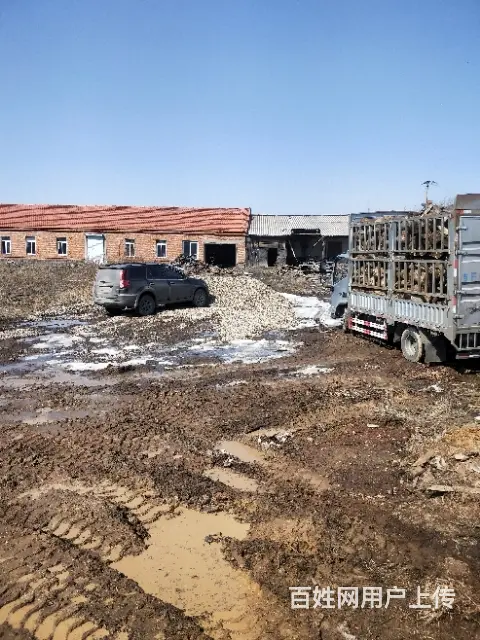 北岗镇内厂房场地出售 - 图片 1