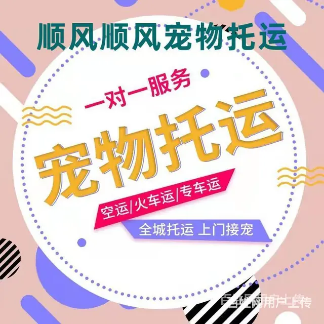 2022永康市宠物托运（猫狗）邮寄快递（宠物活体运输新*闻） - 图片 5