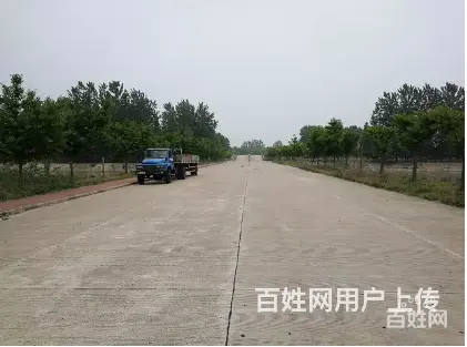 威海AB驾照速成班，学校包吃住，包补考 - 图片 3