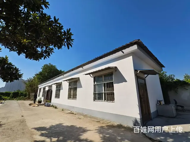 （城市在线找房免费）金山桥杨山路附近标准钢结构厂房招租 - 图片 3