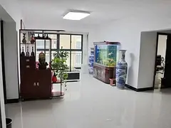 罗马广场 商住两用4厅 精装修