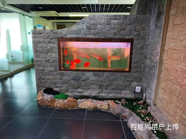 珠海香洲区府 阳光大厦 243㎡写字楼 1.3万低价急租 - 图片 1