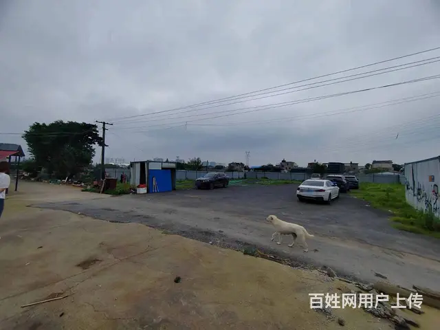 （老板本人）开福区开福大道捞刀河独门独院场地出租  6470 - 图片 4