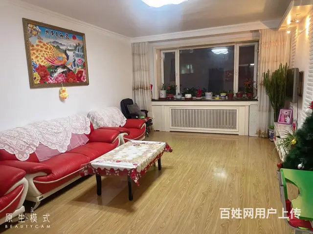 出租 - 图片 4