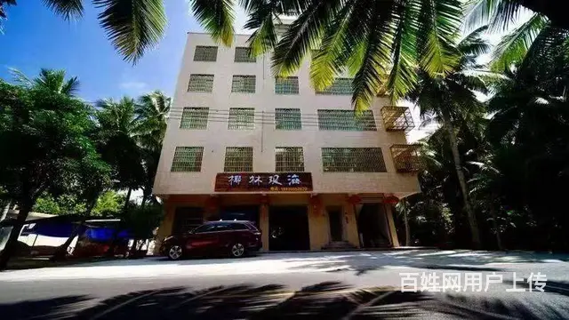 （51旺铺推荐）文昌东郊镇1000平观海民宿出租 - 图片 1