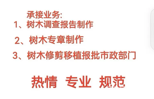广州树木调查报告，树木保护专章，修剪移植报批 - 图片