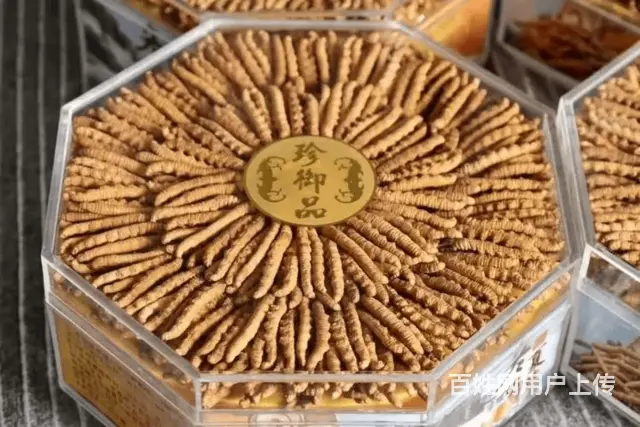 厦门湖里哪里回收冬虫夏草联系电话口碑好 - 图片 3