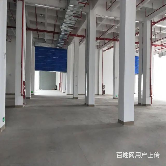 吴江开发区屯村2500平米出租 - 图片 4