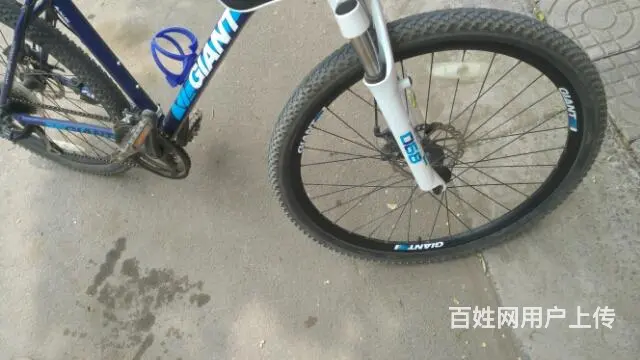 骑了半年 - 图片 1