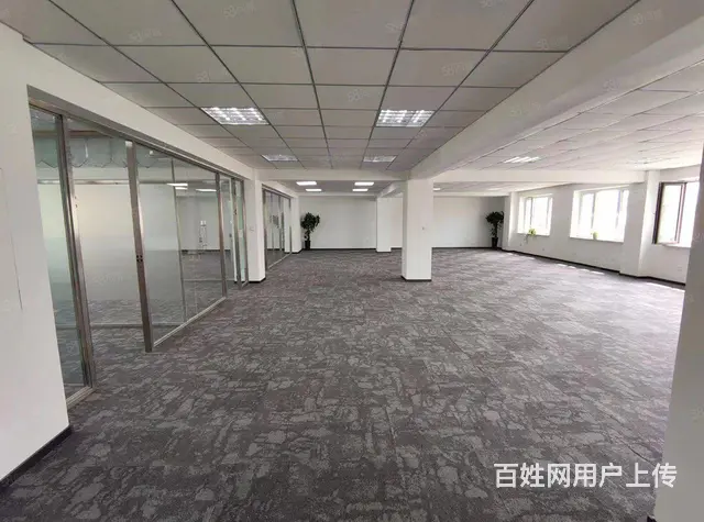 道里红专街写字楼出售 - 图片 12