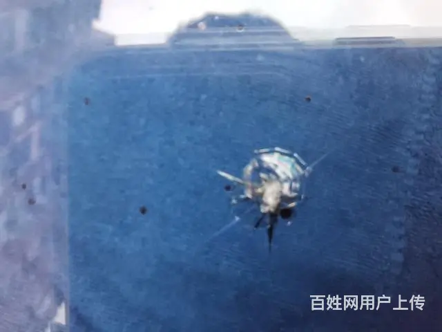 广汉哪里有修复挡风玻璃的 修补时间要多久？ - 图片 10