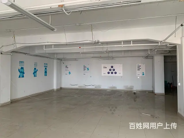 （高层）实用240平，户型方正，开间； - 图片 2