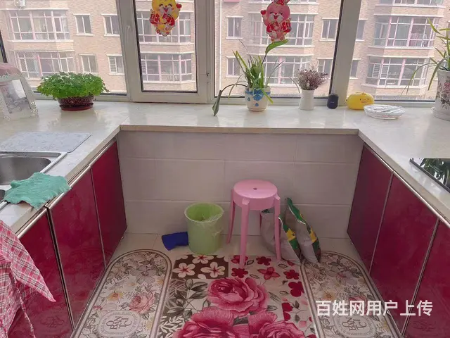 隆福花园小区301室65平方，17万 - 图片 11