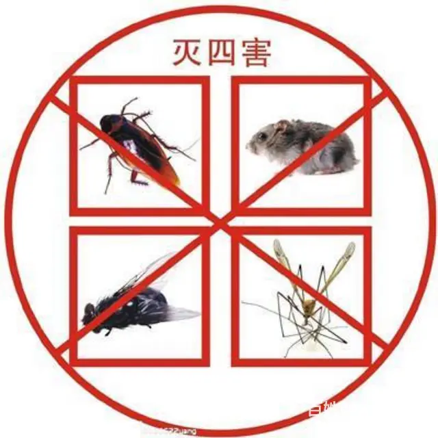 【搞定了！】永城灭老鼠灭蟑螂一次除根 - 图片 3