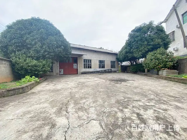 (房东直租)白箬铺319，金洲，黄桥大道300平厂房，带行车 - 图片 1