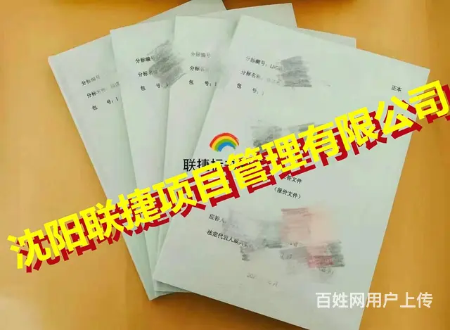 沈阳标书制作，专业指导准备资料，资料匹配审查核对。 - 图片 2