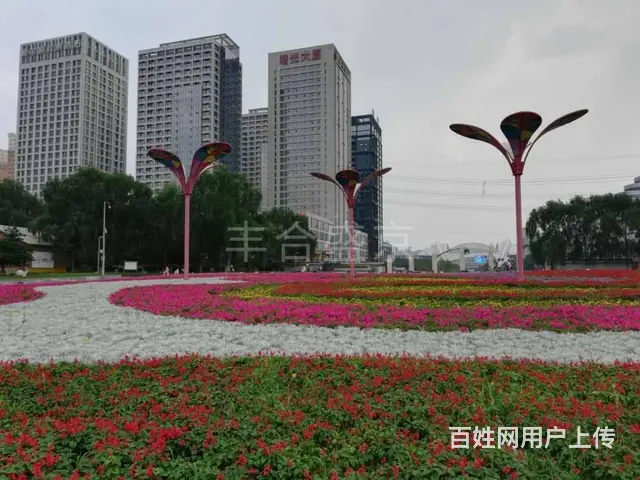 曙光大厦丨奥体中心丨150平丨精装丨7.2万含物业丨国贸嘉龙 - 图片 8