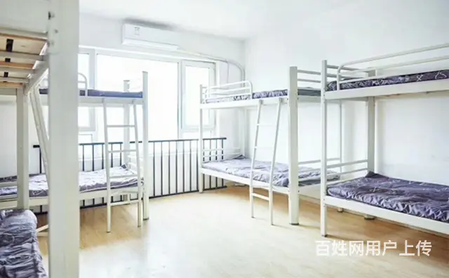 床上下铺连体公寓员工厂大学生两层铁床上下铺 - 图片 3