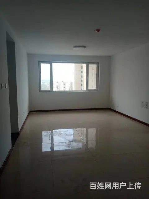 齐园小区急售-全新精装修 普通住宅 精装修 - 图片 1