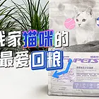 有什么推荐的猫粮吃了不容易掉毛，推荐福派斯猫粮
