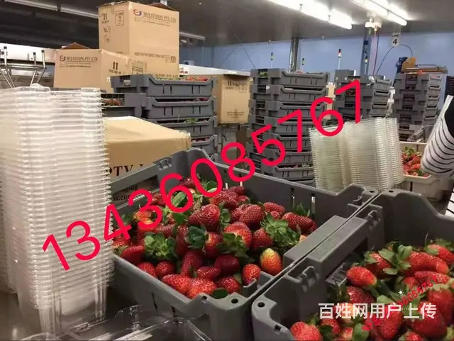 常州出国劳务新西兰招普工技术工年薪35-45万 - 图片 2
