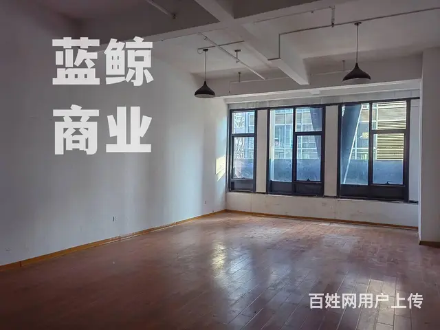 绿地商务城蓝海120平纯办公写字楼出租 - 图片 3
