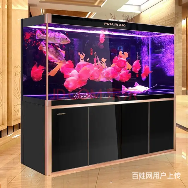 鱼缸清洗，维修，耗材 - 图片 1