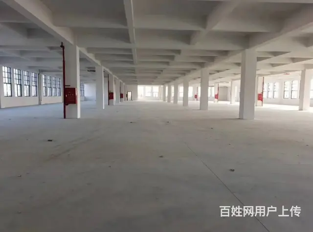 洛阳春都路出租仓库面积50－800平左右，可分割，个人急租 - 图片 1